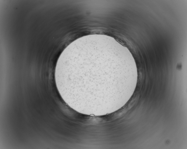 X0000102360379200808291231