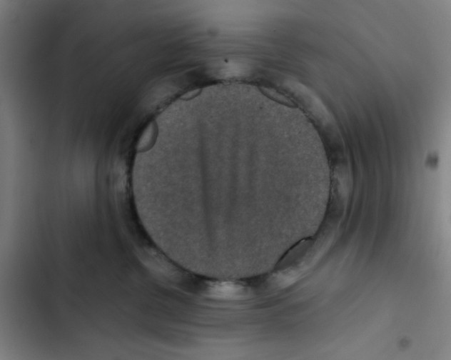 X0000102360380200808291231