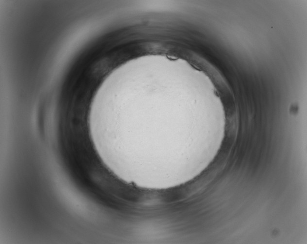 X0000102360381200808291231