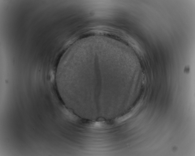 X0000102360382200808291231