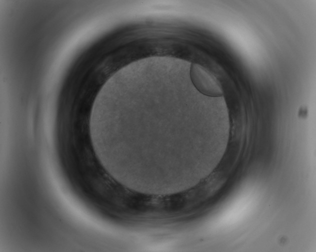X0000102360383200808291231