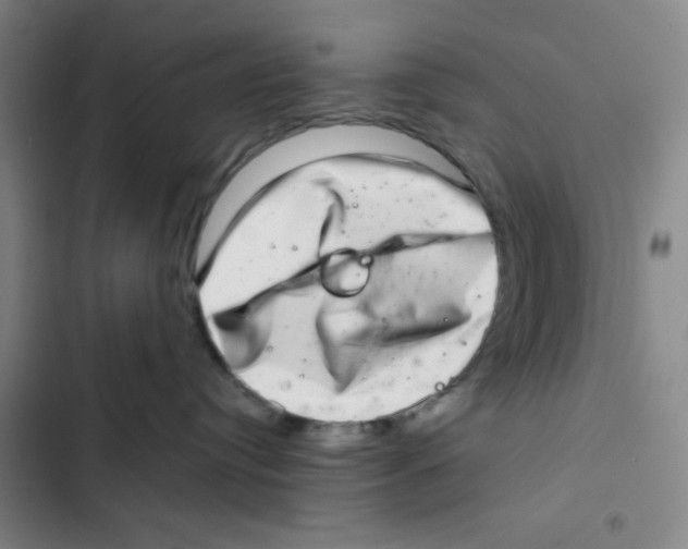 X0000102360384200808291231
