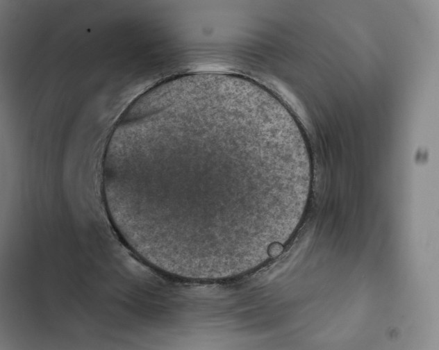 X0000102360385200808291230