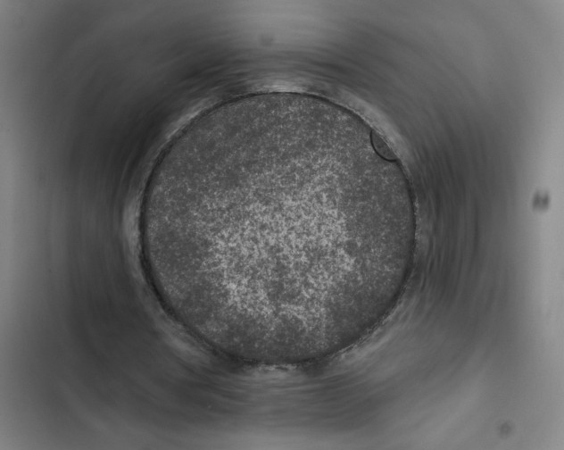 X0000102360386200808291230