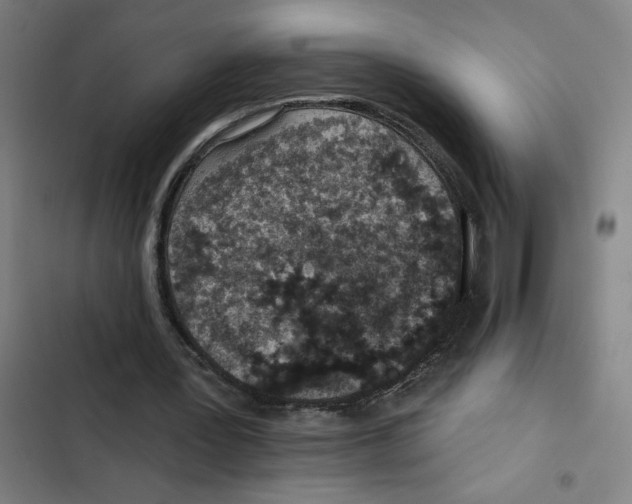 X0000102360387200808291230