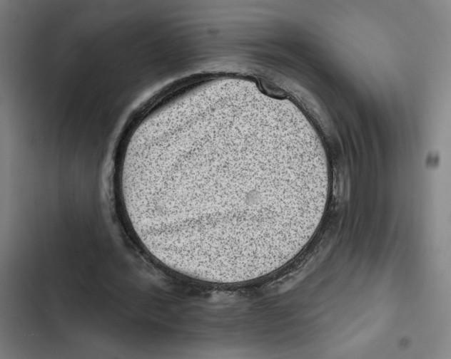X0000102360388200808291230