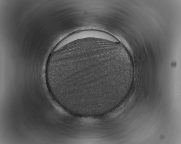 X0000102360389200808291230