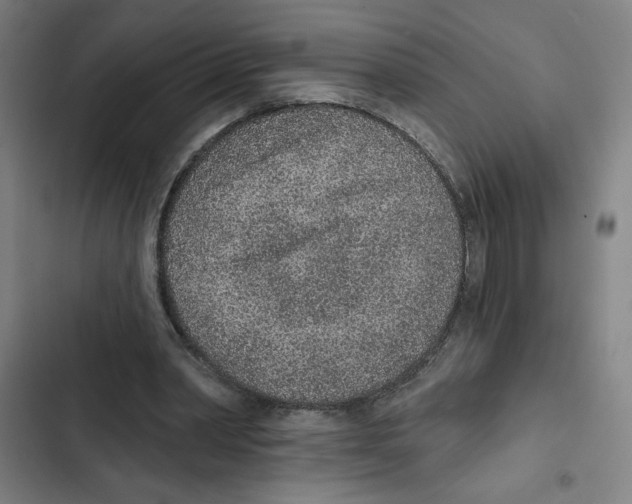 X0000102360390200808291230