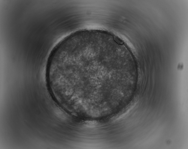 X0000102360391200808291230