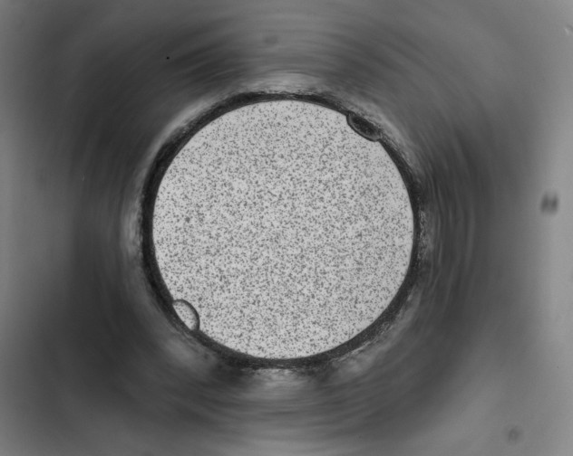 X0000102360392200808291230
