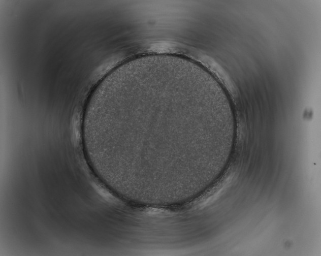 X0000102360393200808291230