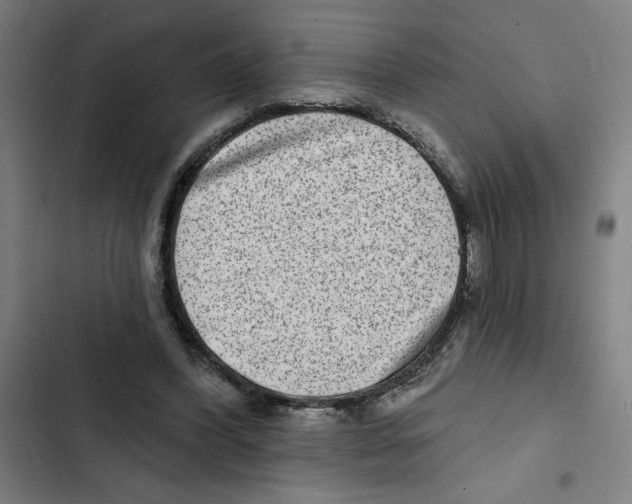 X0000102360396200808291230