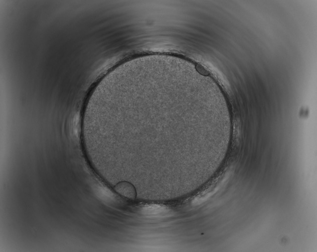 X0000102360397200808291230