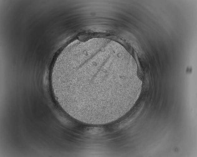 X0000102360398200808291230
