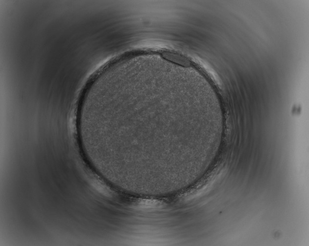 X0000102360399200808291230