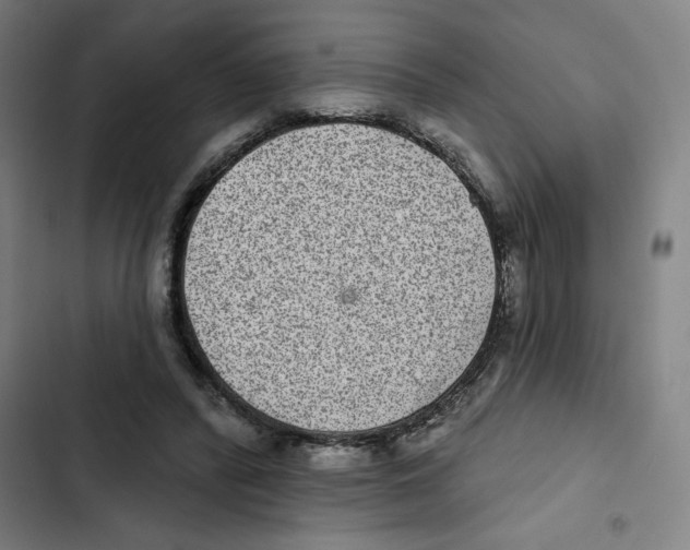X0000102360400200808291230