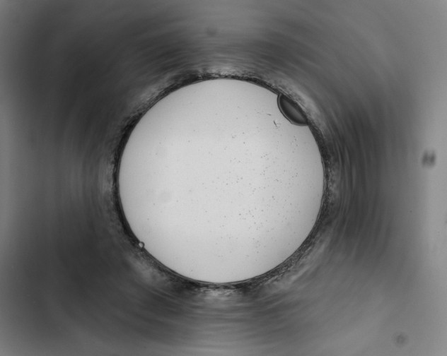 X0000102360401200808291230