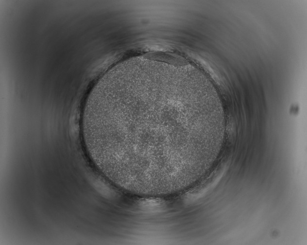 X0000102360402200808291230