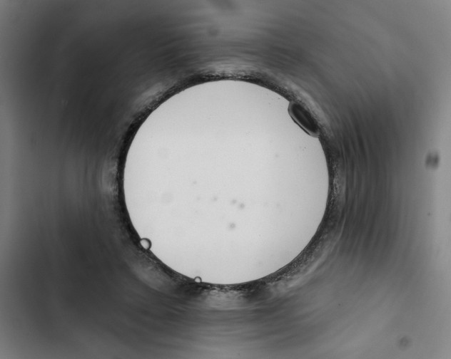 X0000102360403200808291230