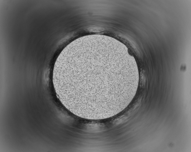 X0000102360404200808291230