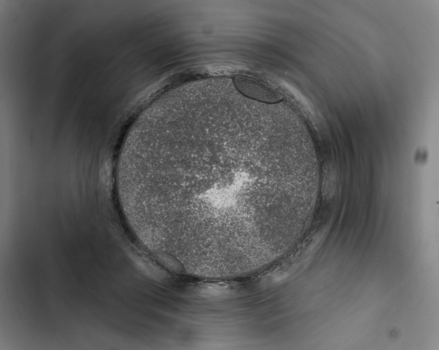 X0000102360405200808291230
