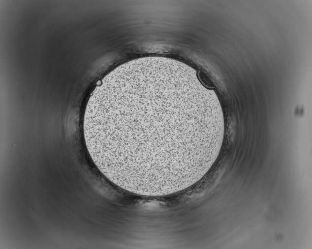 X0000102360407200808291230