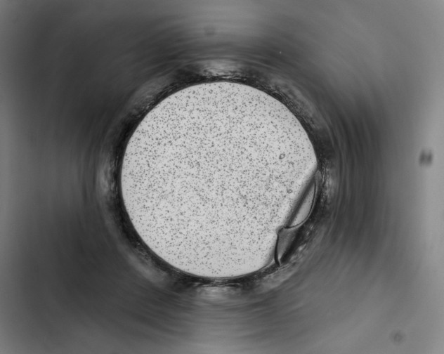 X0000102360408200808291230