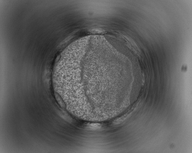 X0000102360409200808291230