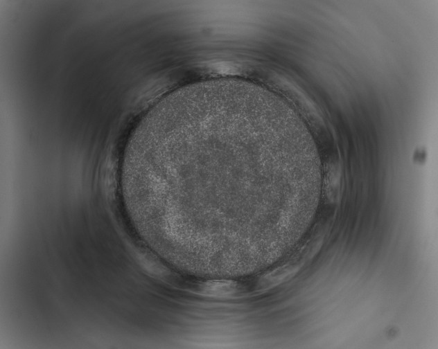 X0000102360410200808291230