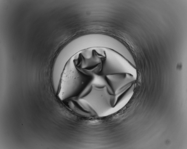 X0000102360411200808291230