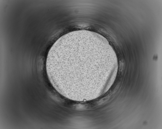 X0000102360412200808291230