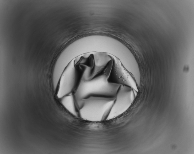 X0000102360415200808291230