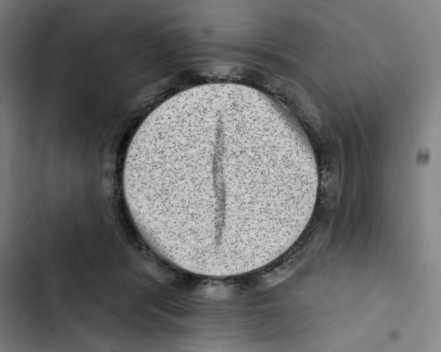 X0000102360416200808291230