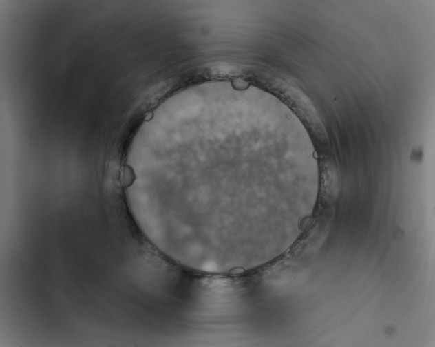 X0000102360419200808291230