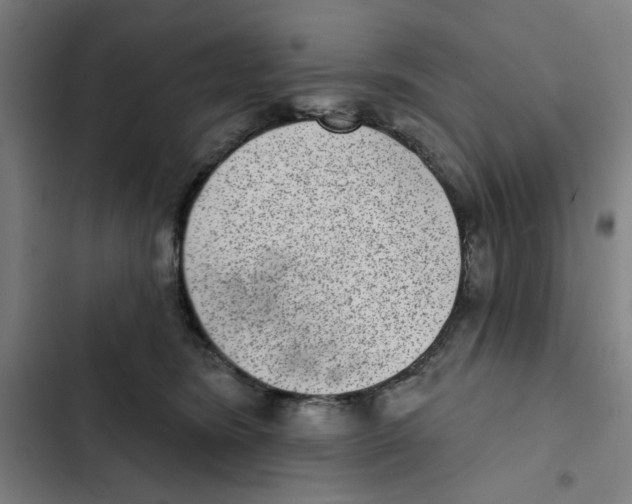 X0000102360420200808291230