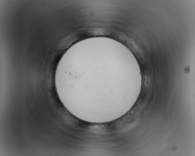 X0000102360422200808291229