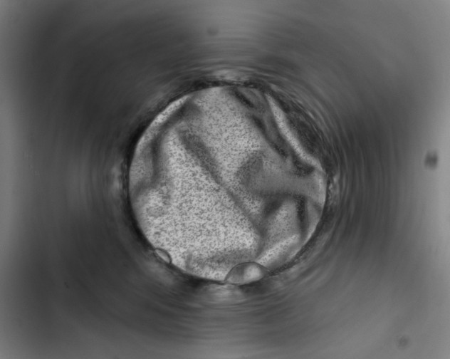 X0000102360424200808291229