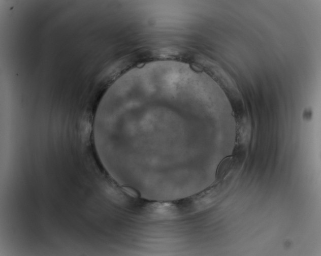 X0000102360427200808291229