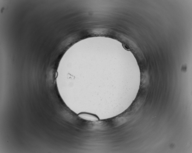 X0000102360428200808291229