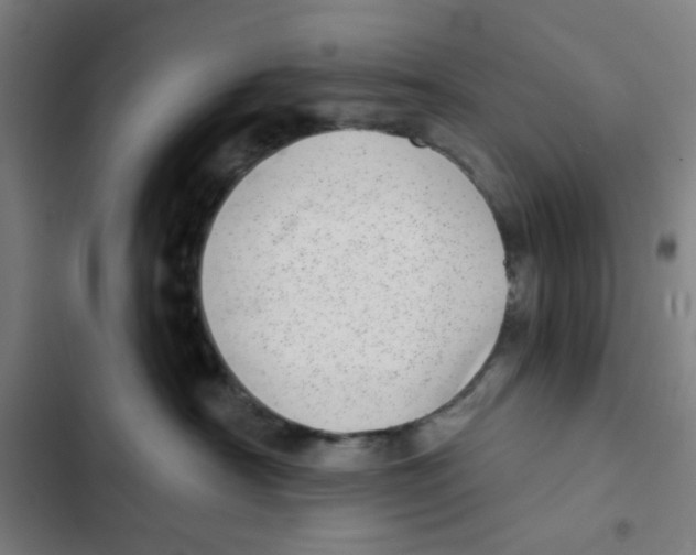 X0000102360430200808291229