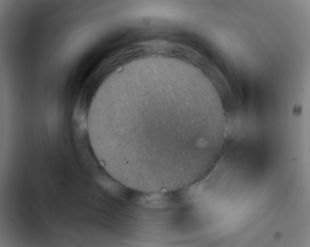 X0000102360431200808291229
