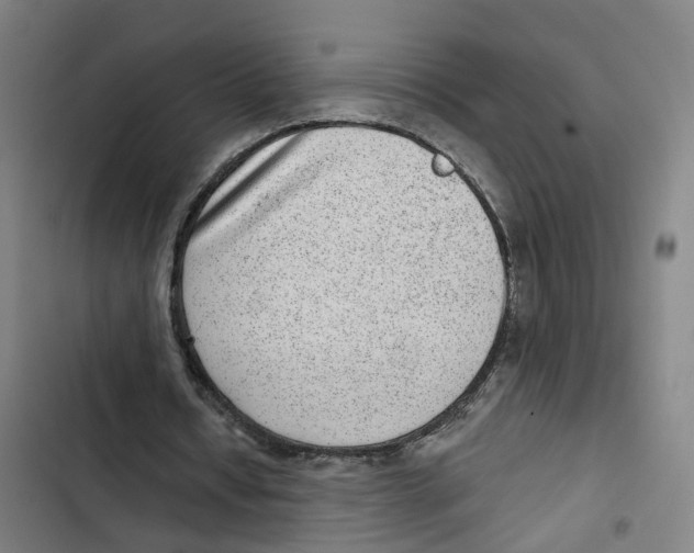 X0000102360434200808291229