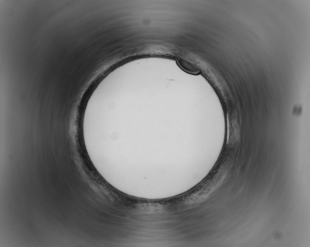 X0000102360435200808291229