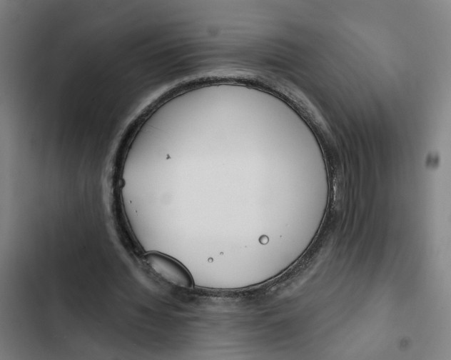 X0000102360436200808291229