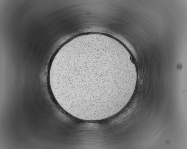 X0000102360437200808291229