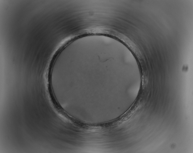X0000102360438200808291229