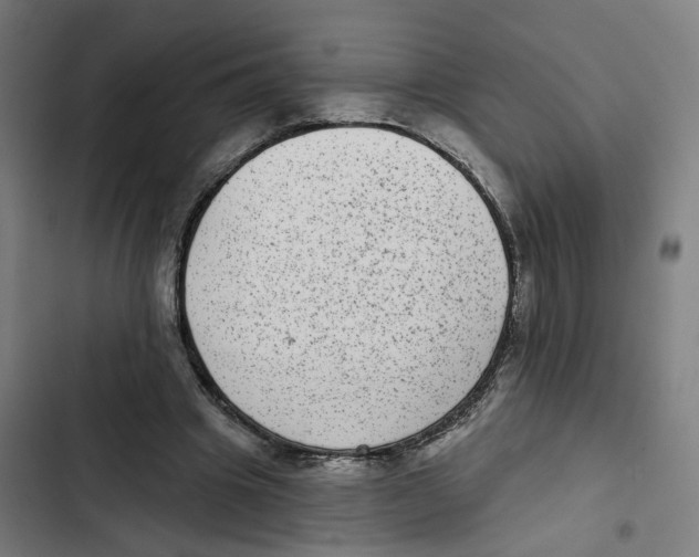 X0000102360441200808291229