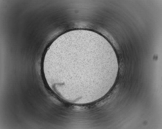 X0000102360442200808291229