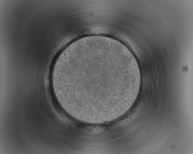 X0000102360443200808291229