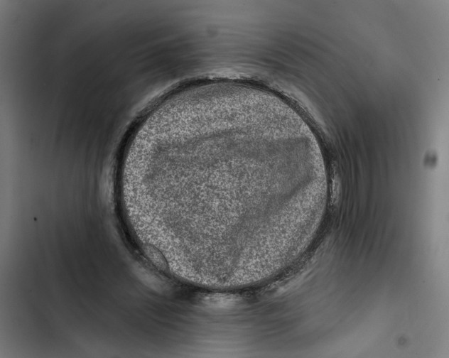 X0000102360444200808291229